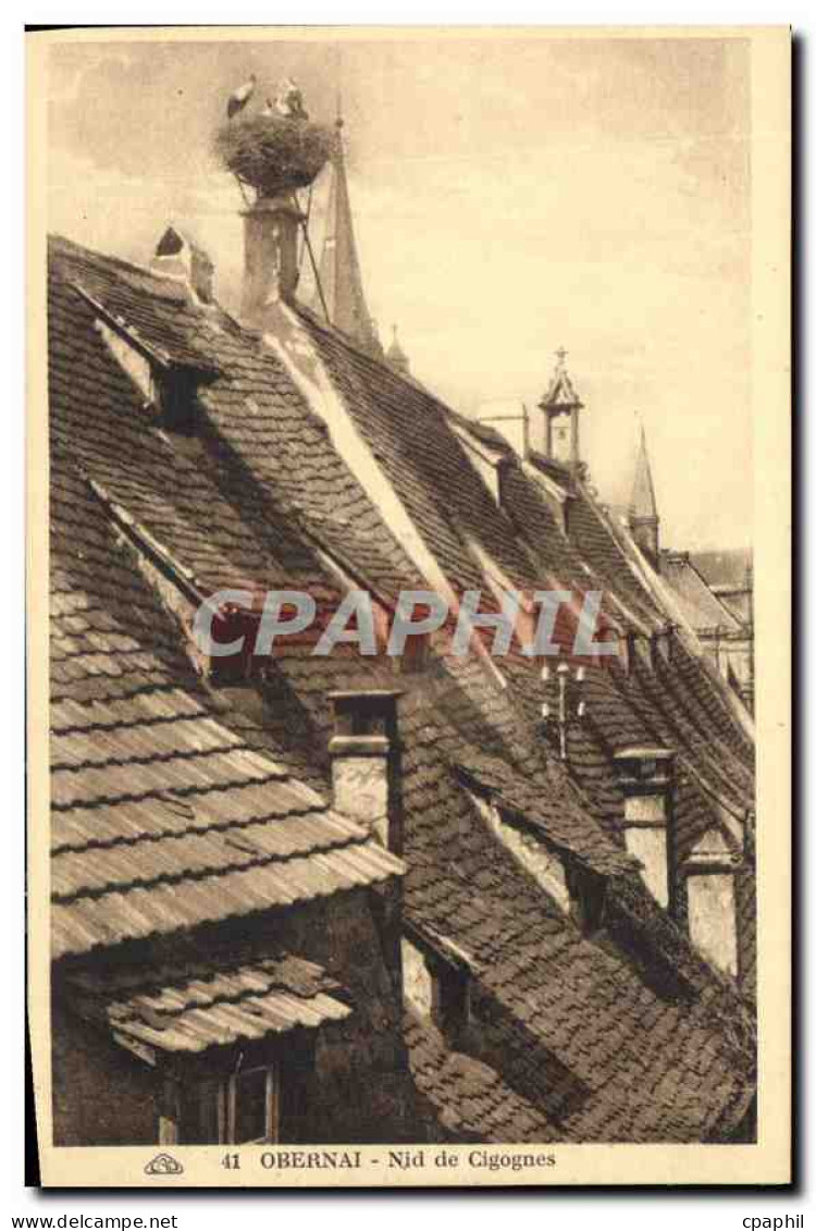 CPA Obernai Nid de Cigognes