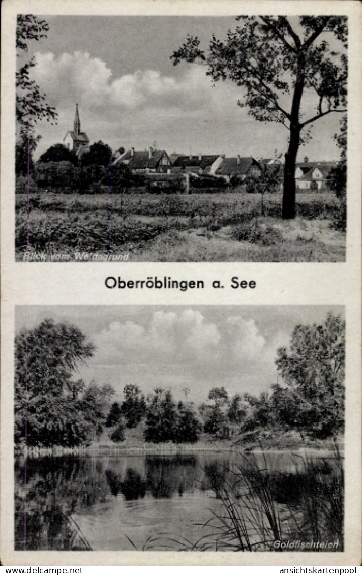 CPA Oberröblingen Röblingen am See Mansfelder Land, Blick vom Wäldchen, Goldfischteich