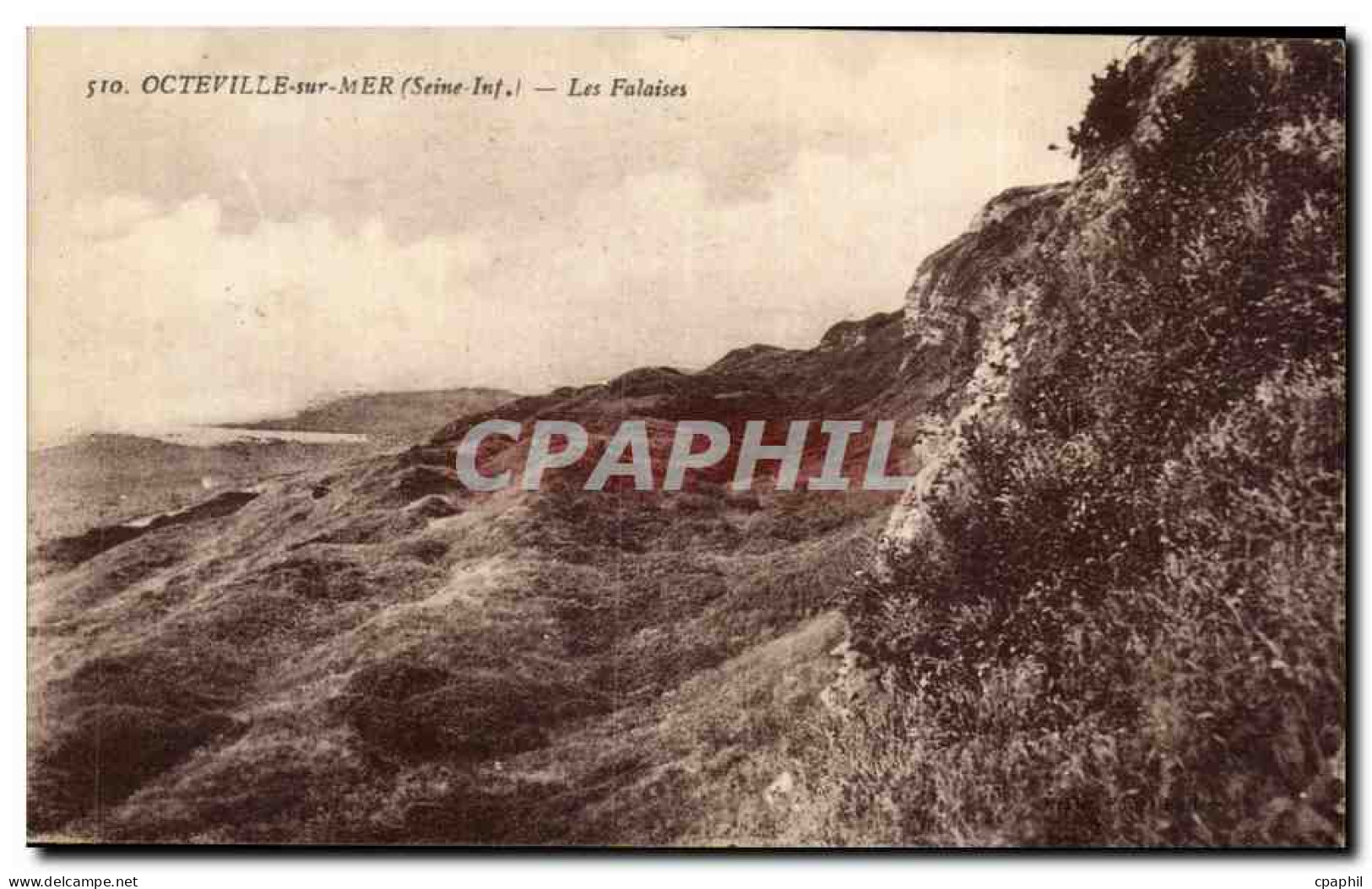 CPA Octeville Sur Mer (Seine Int) Les Falaises
