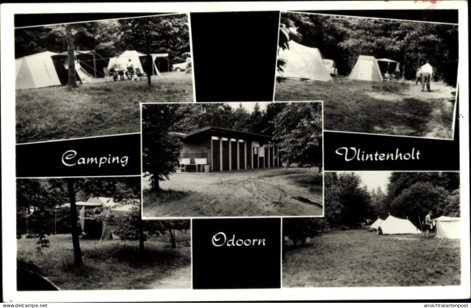 CPA Odoorn Drenthe Niederlande, Camping Vlintenholt