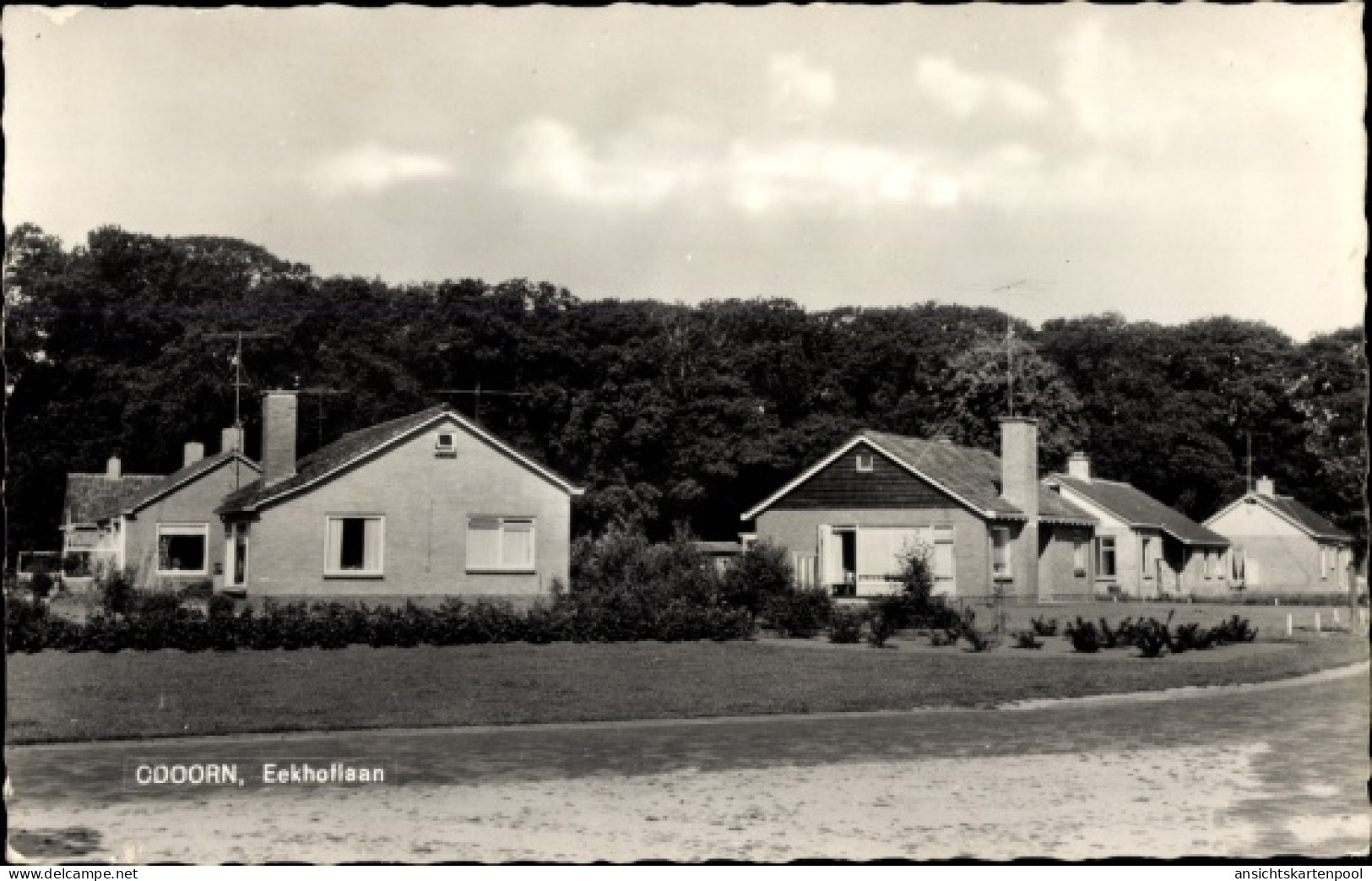 CPA Odoorn Drenthe Niederlande, Eekhoflaan