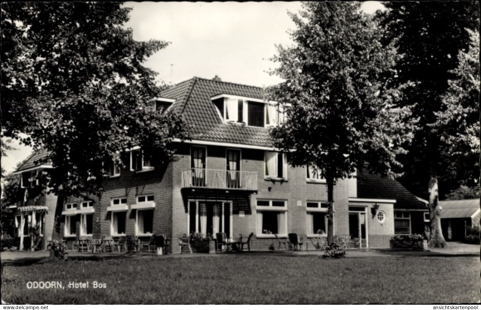 CPA Odoorn Drenthe Niederlande, Hotel Bos