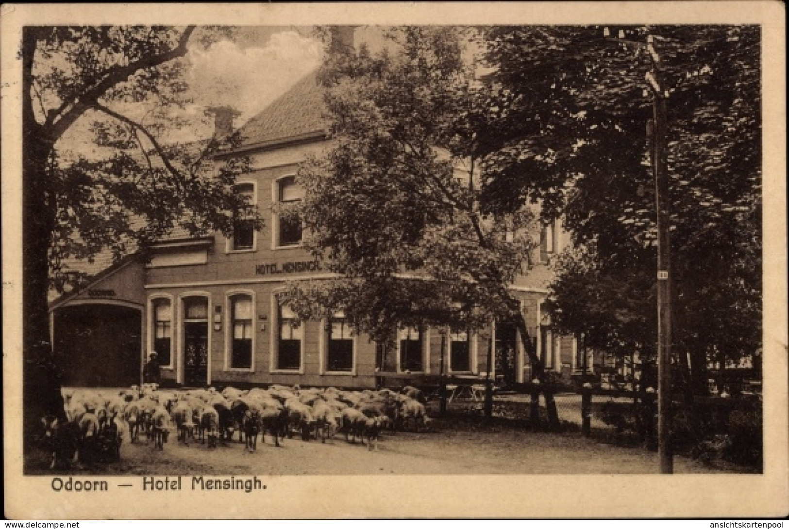 CPA Odoorn Drenthe Niederlande, Hotel Mensingh