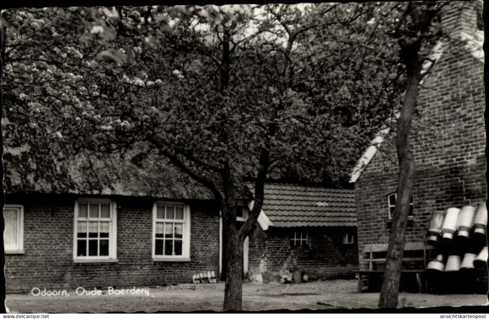 CPA Odoorn Drenthe Niederlande, Oude Boerderij, Hotel Bos