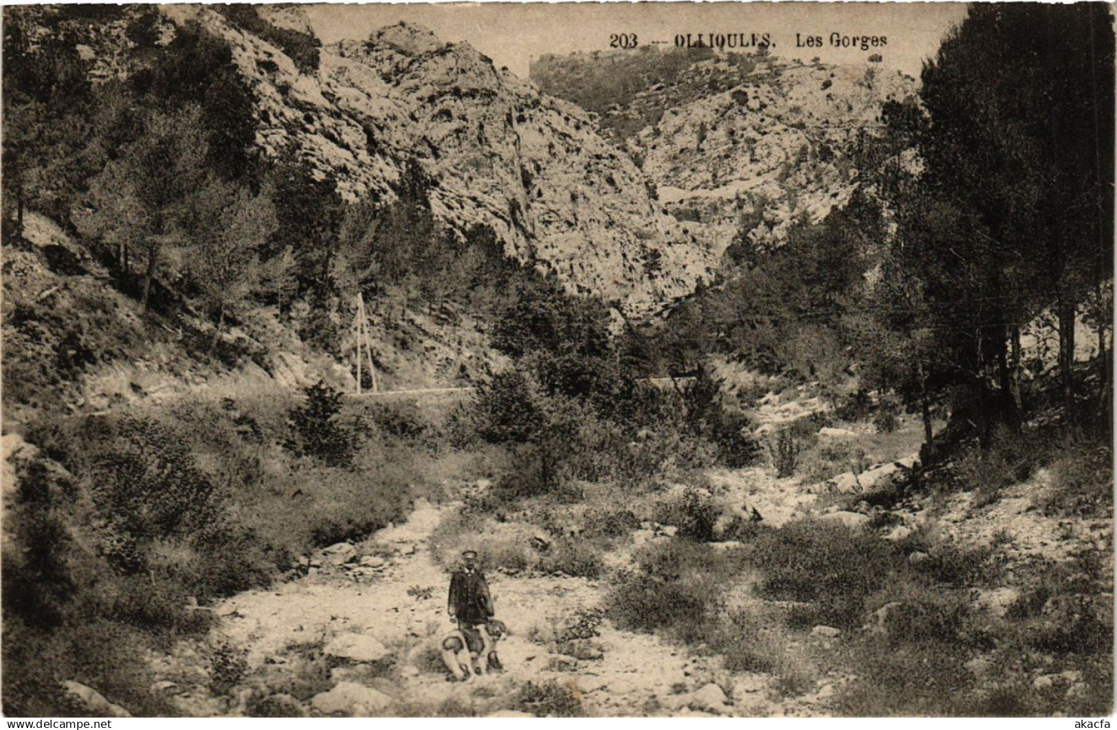 CPA OLLIOULES Les Gorges (411289)