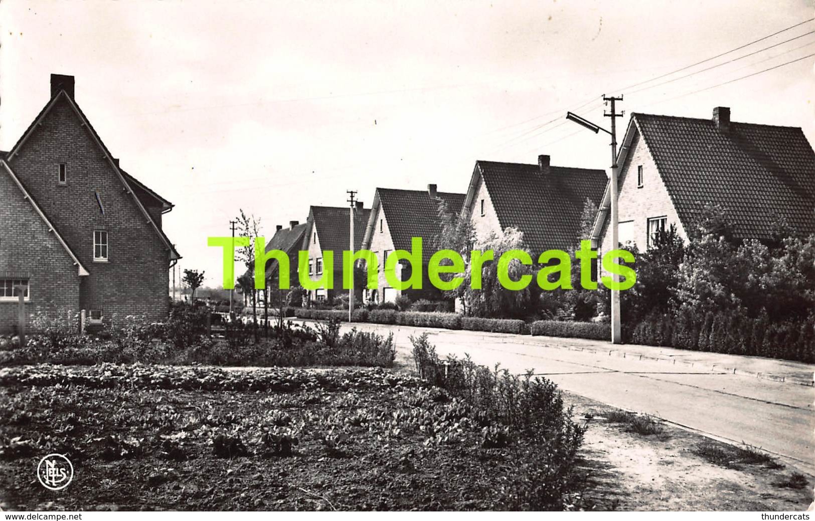 CPA OOSTKAMP OOSTCAMP SPLETHAGESTRAAT