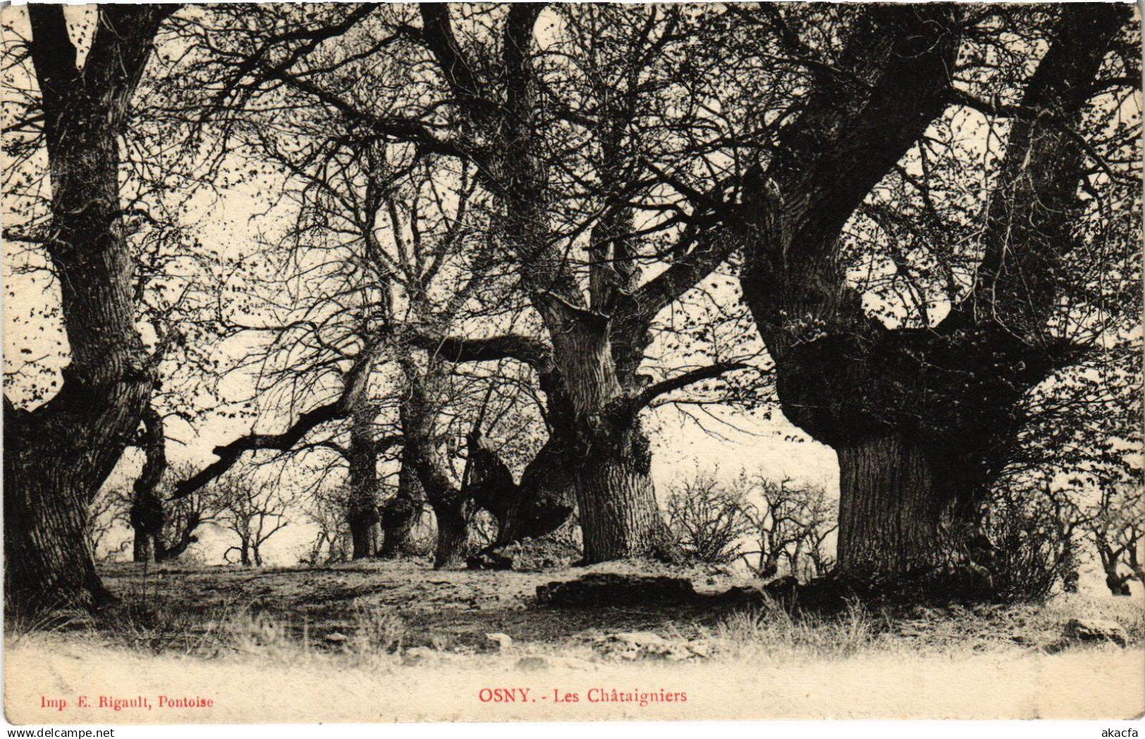 CPA Osny Les Chataigniers (1317815)