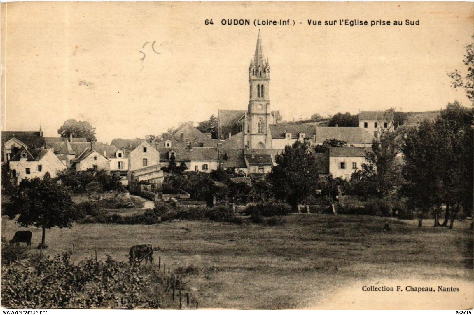 CPA OUDON Vue sur église prise au Sud (610818)