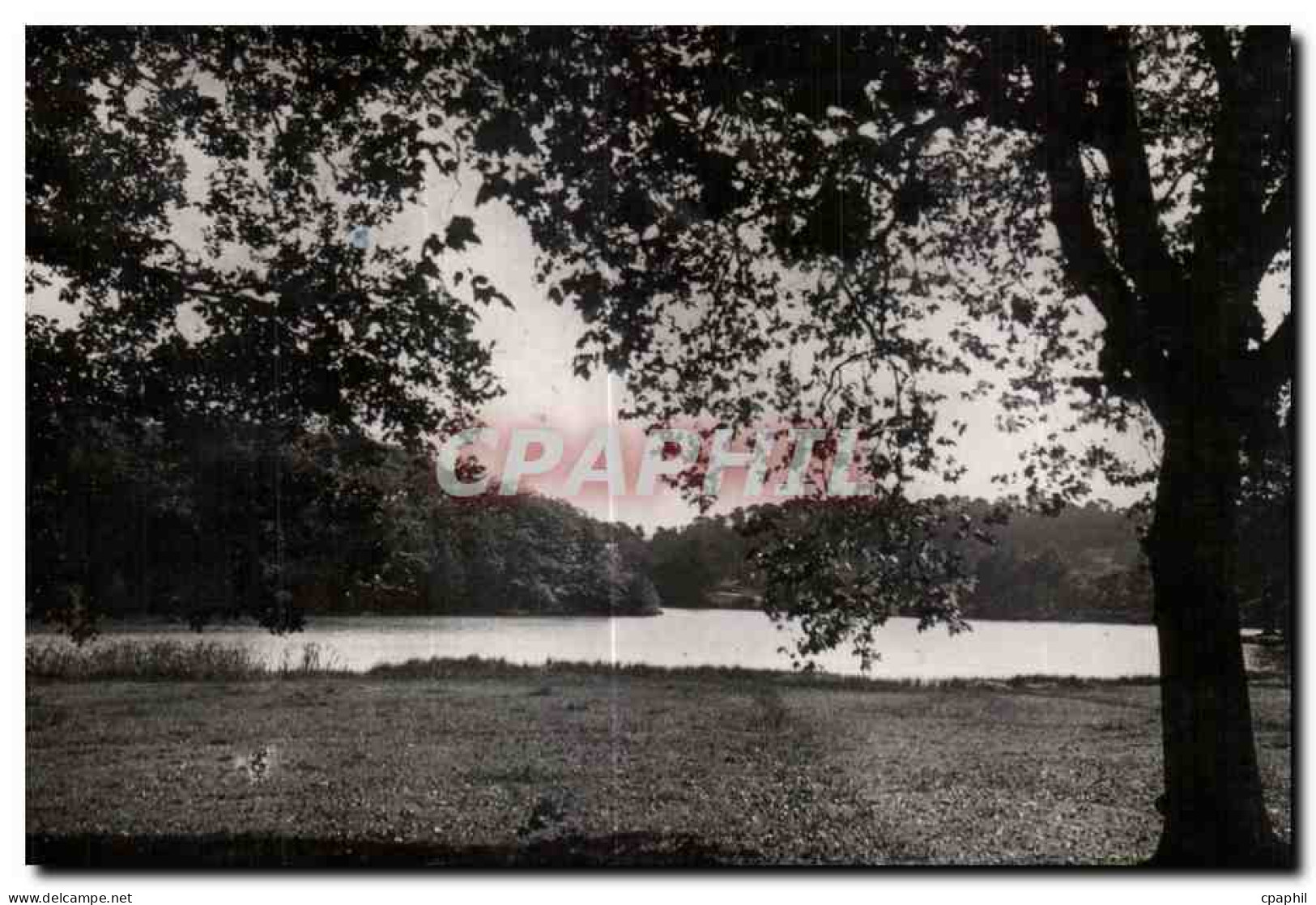 CPA Paimpont L Etang Des Forges de
