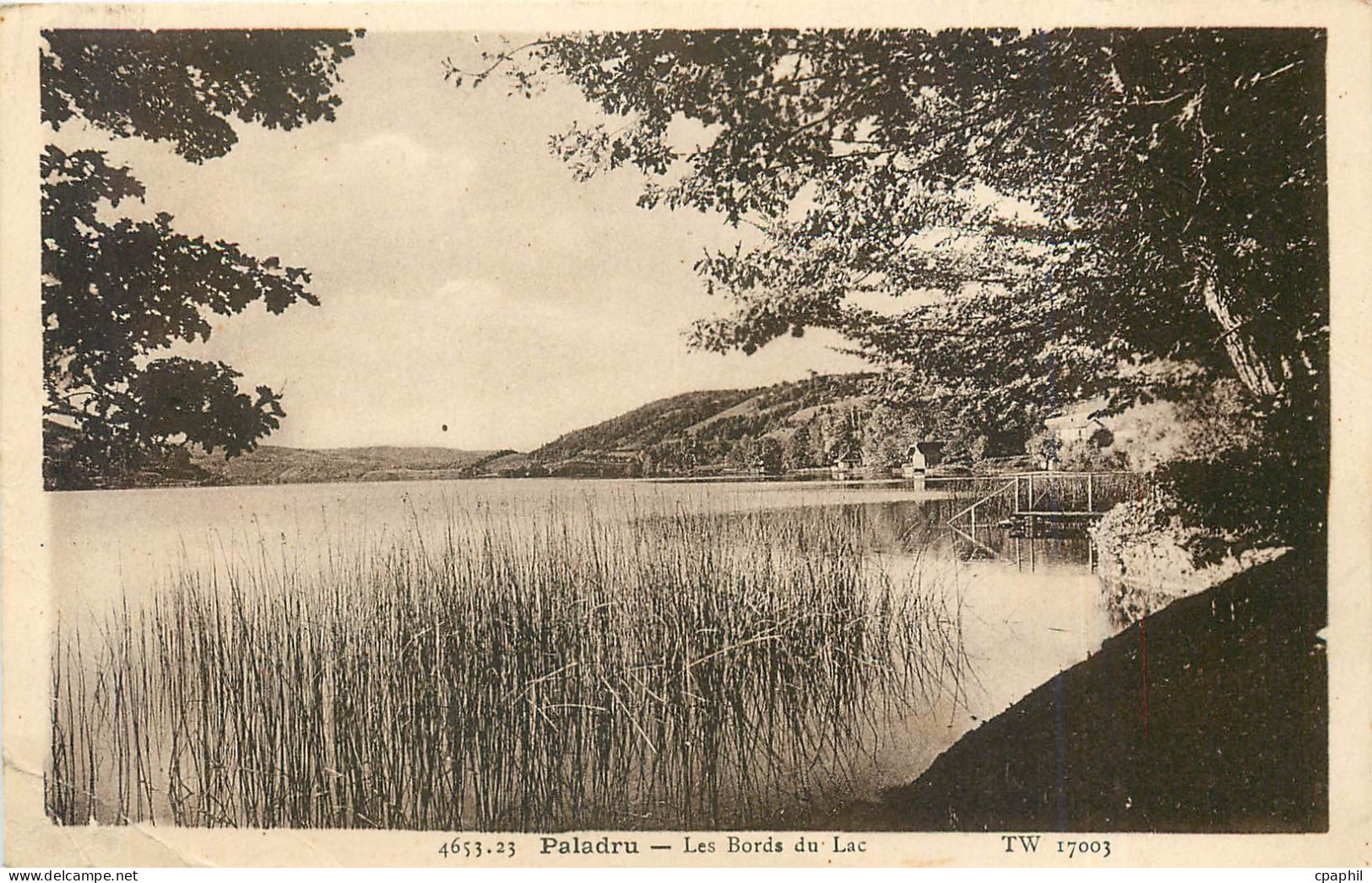 CPA paladru-Les Bords du Lac