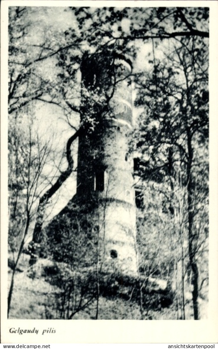 CPA Panemunė Litauen, Schloss Gelgaudai