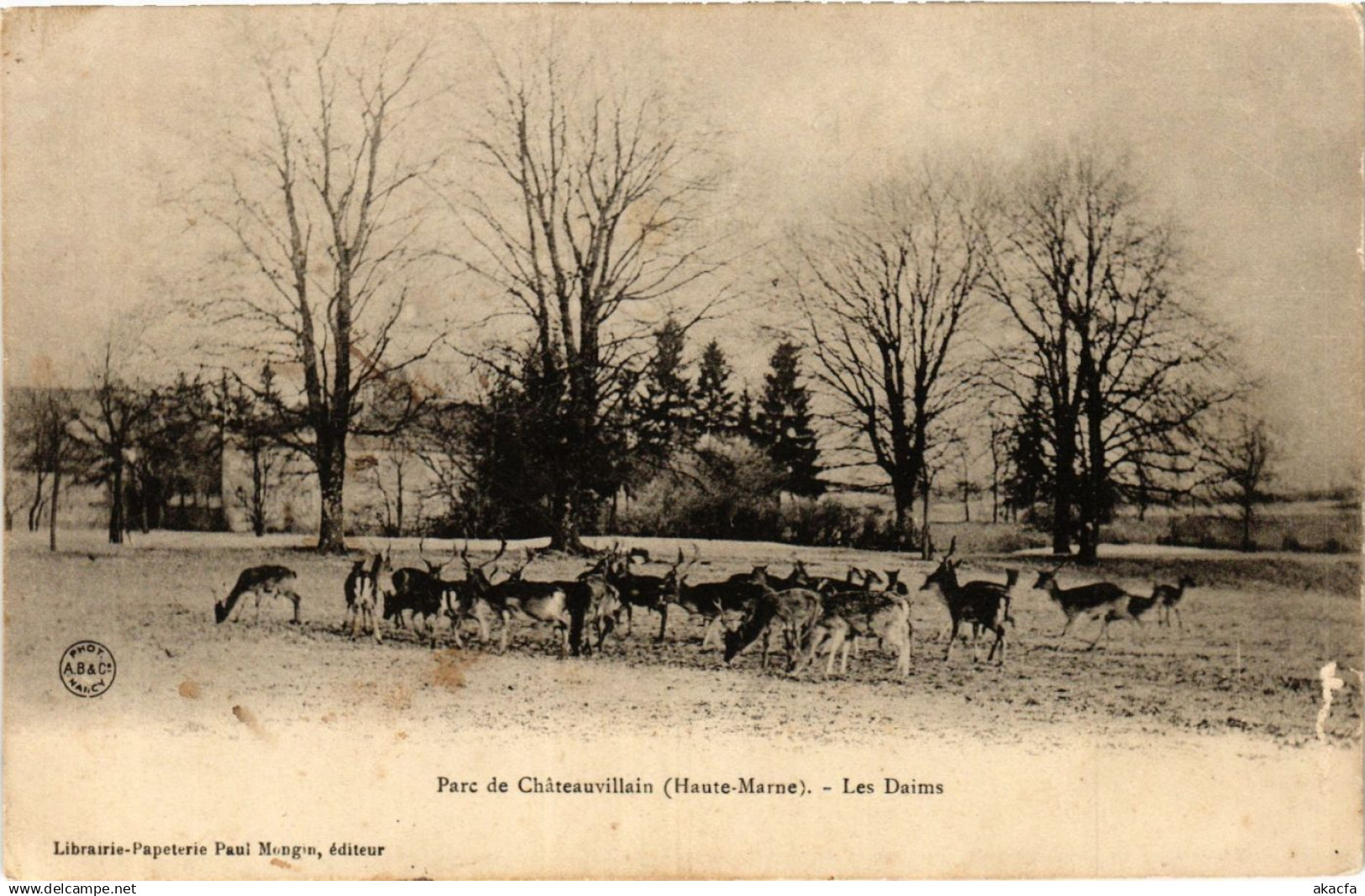 CPA Parc de CHATEAUVILLAIN - Les Daims (368403)