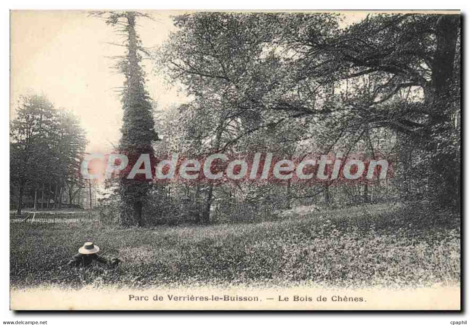 CPA Parc De Verrieres Le Buisson Le Bois De Chenes