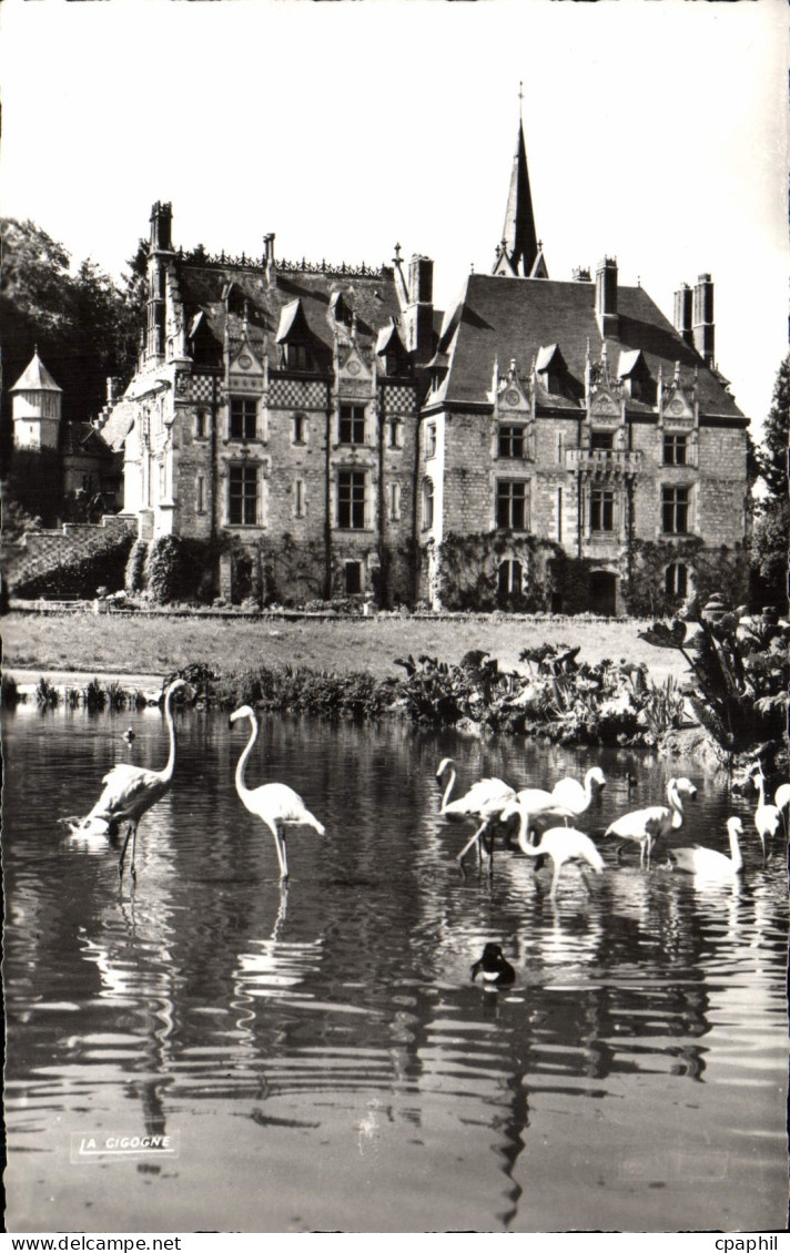 CPA Parc Zoologique De Cleres Le Chateau Et Les Flamants Roses Zoo