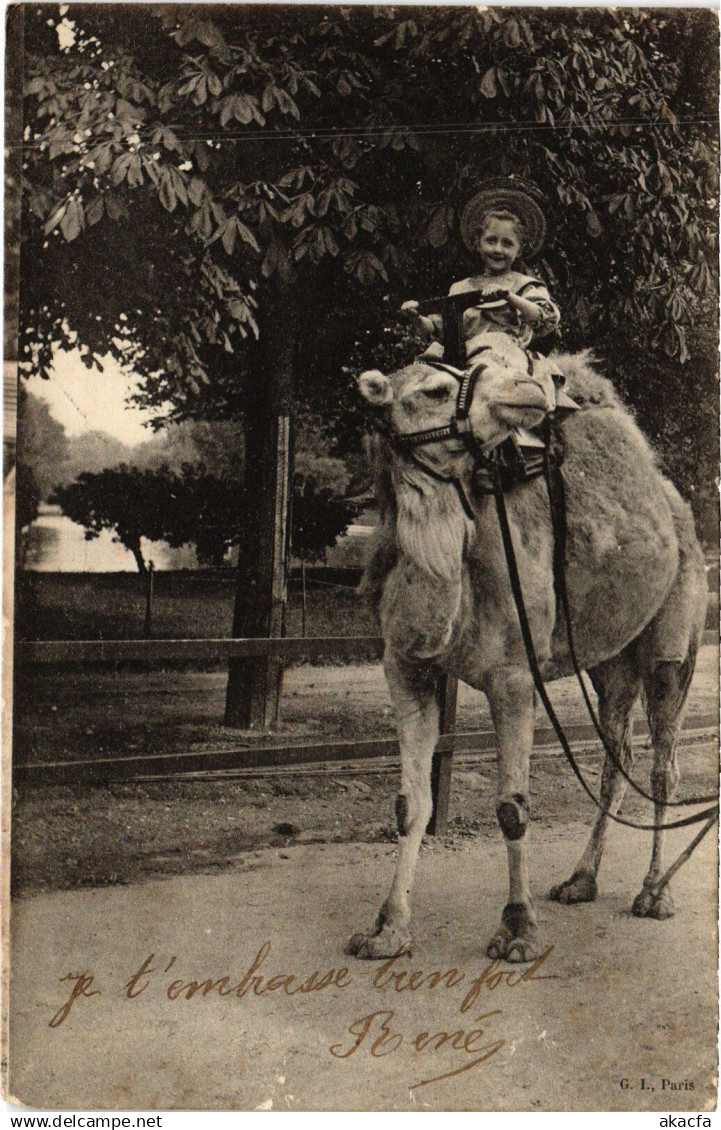CPA PARIS Jardin d'Acclimatation (1240992)