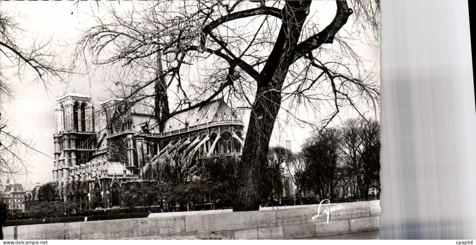 CPA Paris Notre Dame de Paris depuis les Quais