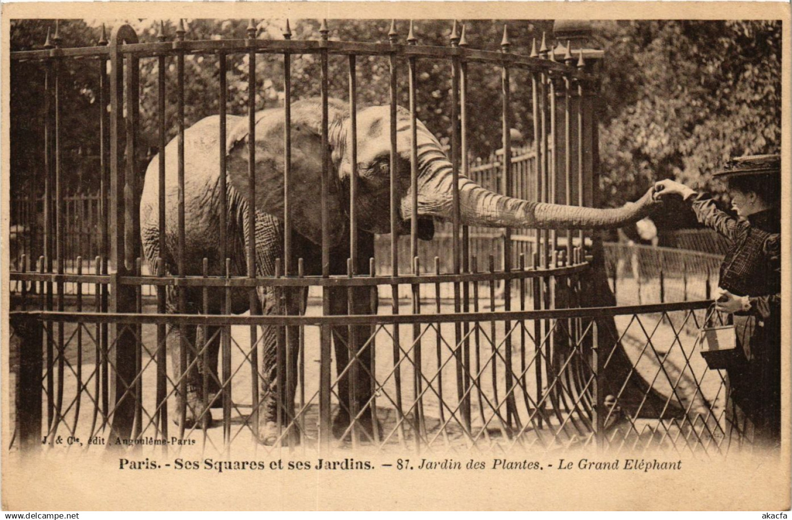 CPA PARIS Ses Squares et ses Jardins. 87. Jardin des Plantes (577590)