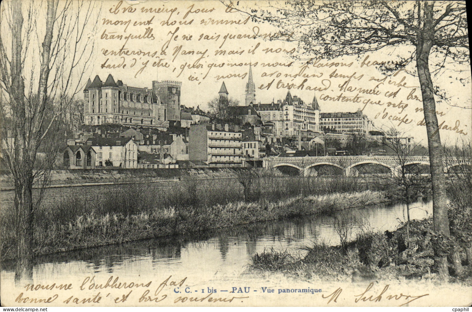 CPA Pau Vue Panoramique