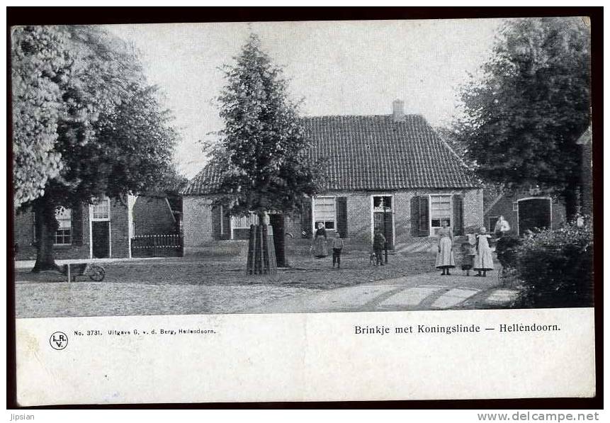 Cpa Pays-Bas  Hellendoorn  Brinkje met Koningslinde A31