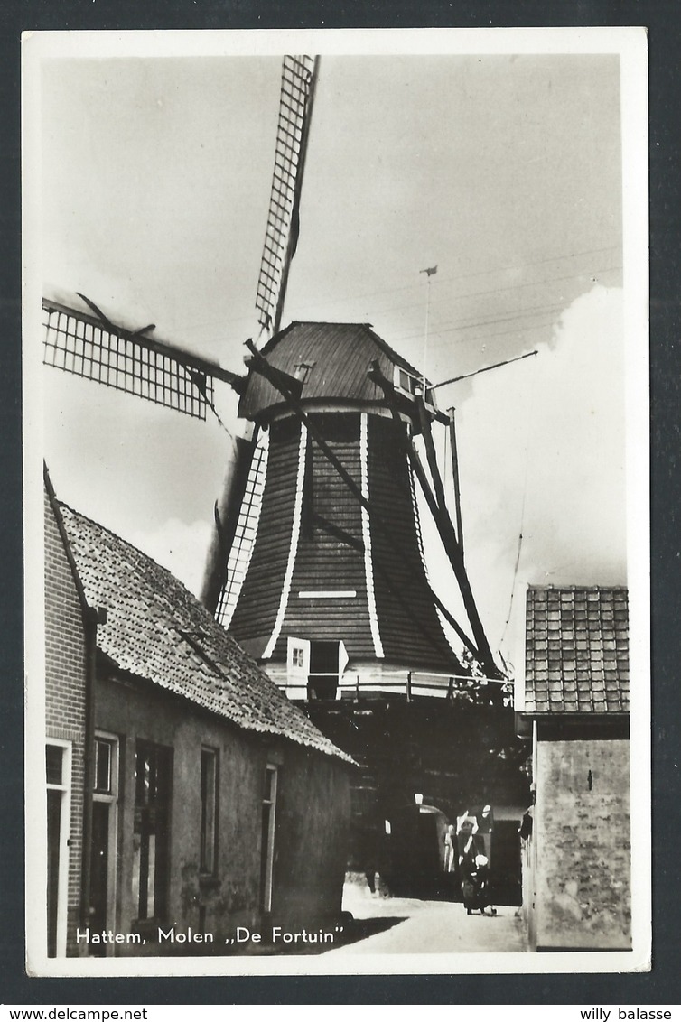 +++ CPA - Pays Bas - Holland - Gelderland - HATTEM - Molen " De Fortuin "4 - Moulin   //
