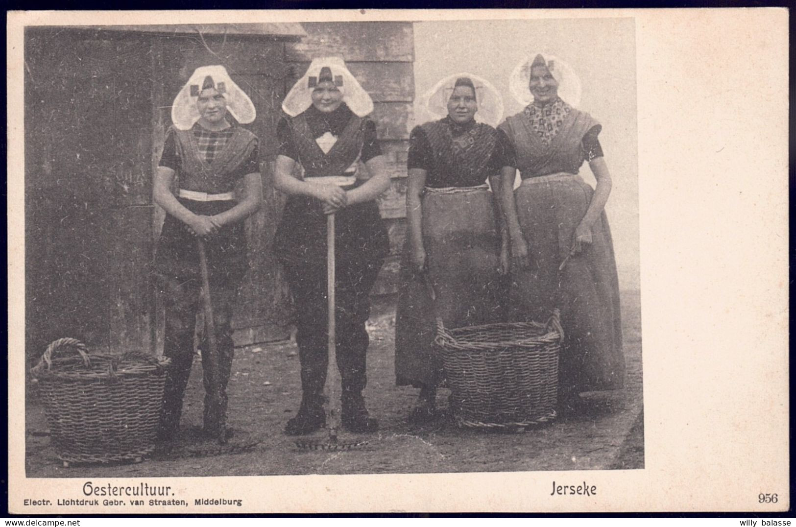 +++ CPA - Pays-Bas - Zeeland - JERSEKE - YERSEKE - Oestercultuur   //