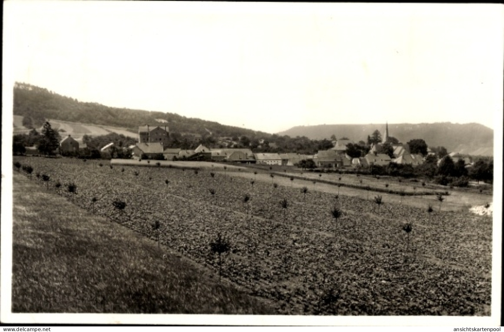 CPA Perl an der Mosel, Panorama