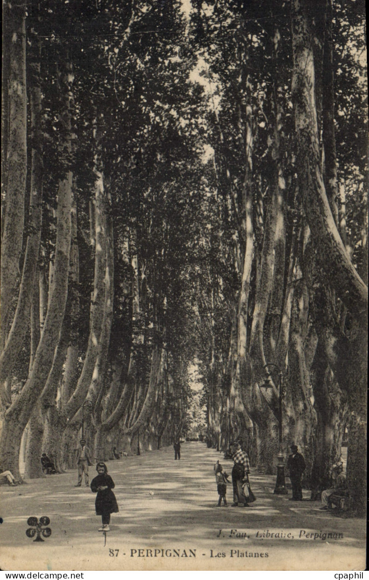 CPA Perpignan Les Platanes