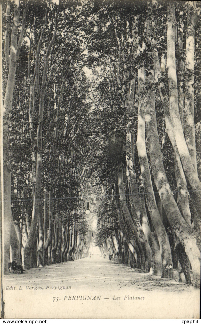 CPA Perpignan Les Platanes