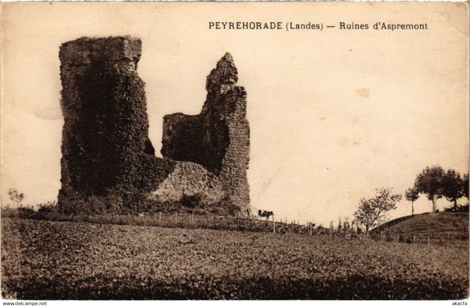 CPA Peyrehorade Ruines d'Aspremont FRANCE (1280992)