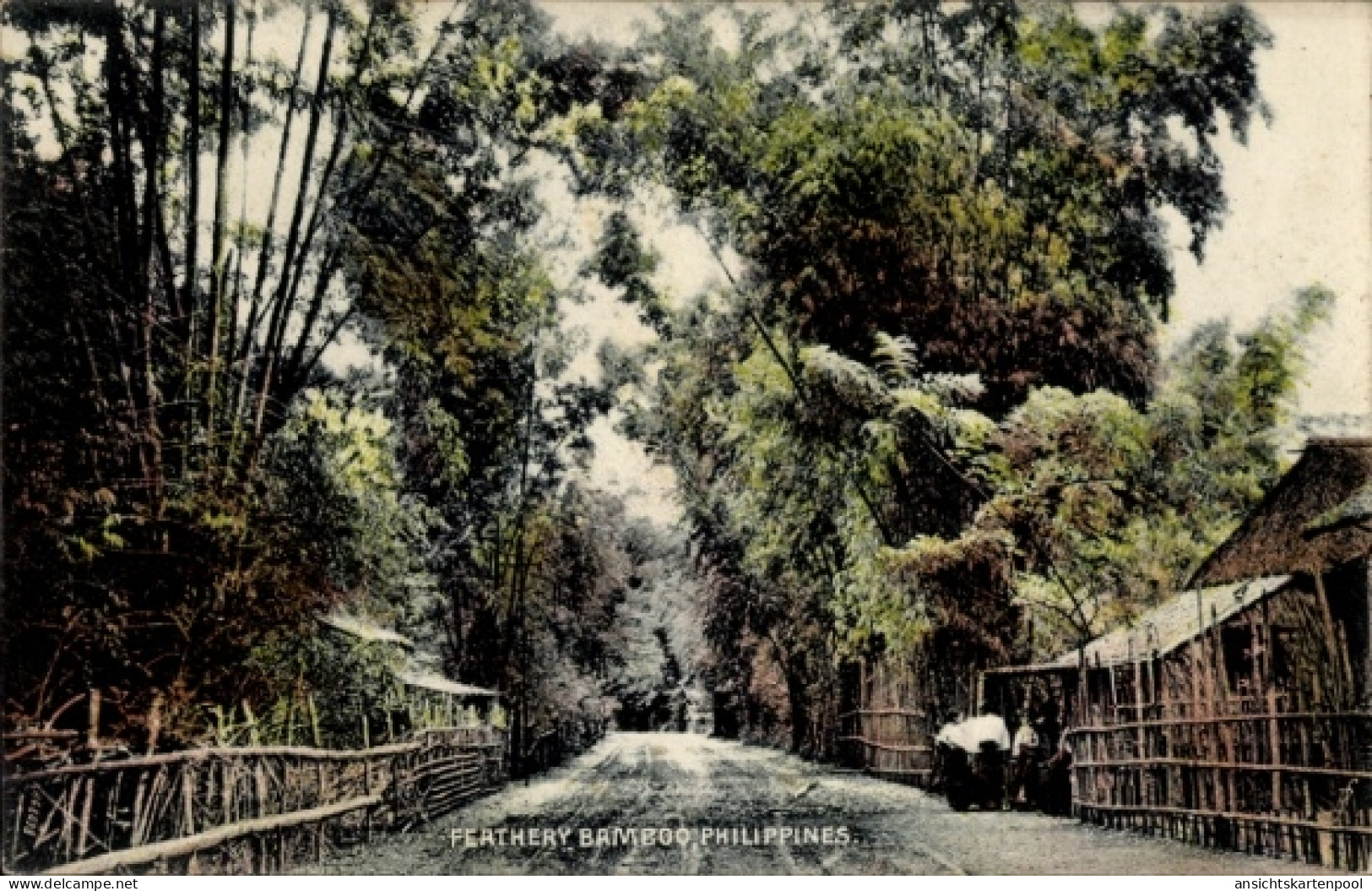 CPA Philippinen, Feathery Bamboo, Straßenansicht