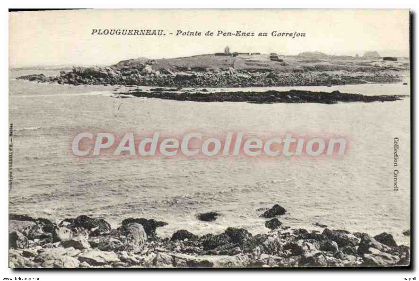 CPA Plouguerneau pointe de Pen Enez au Correjou