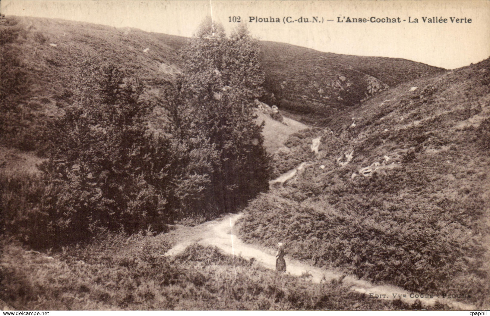 CPA Plouha L Anae Cochat La Vallee Verte