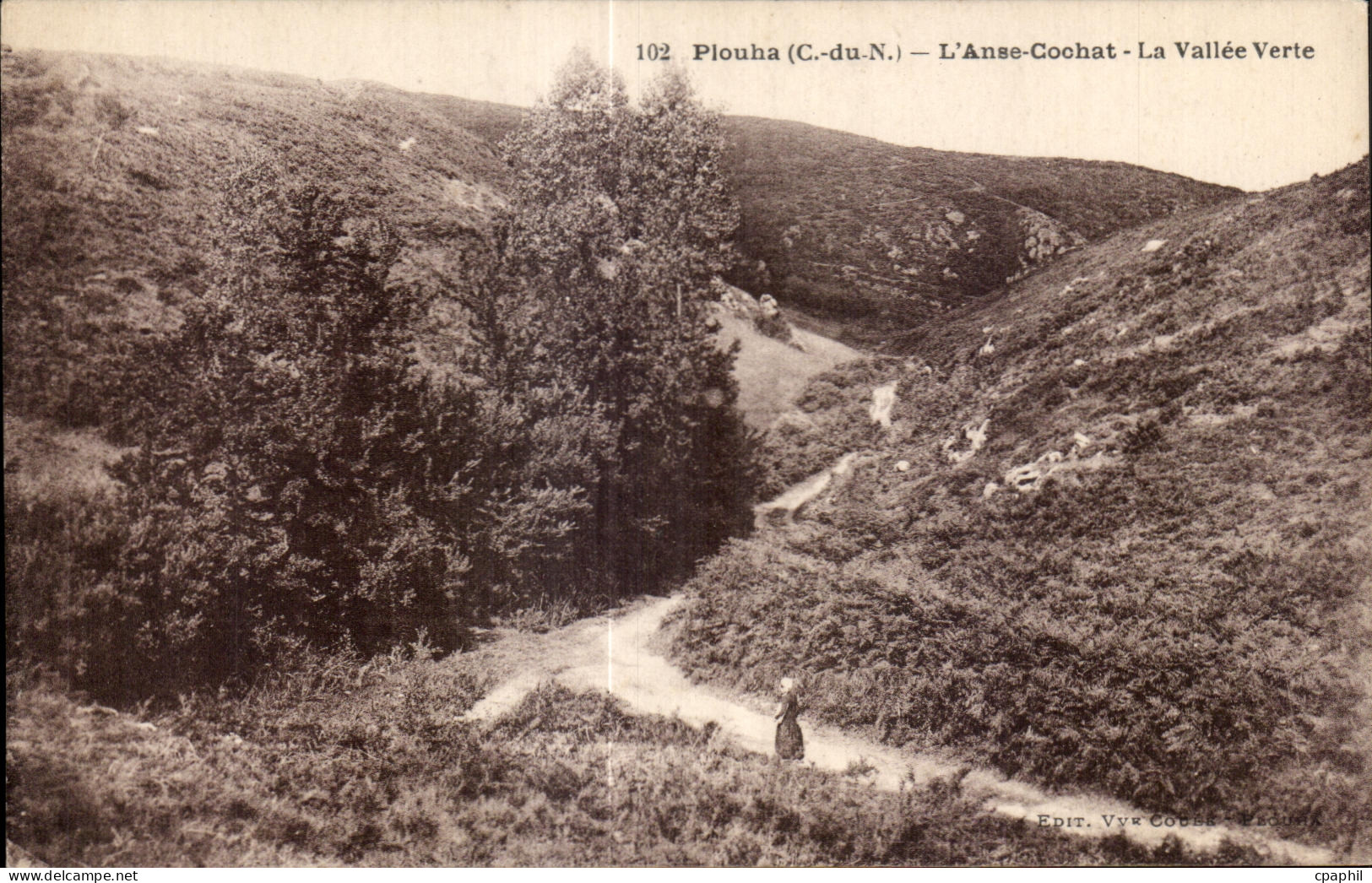 CPA Plouha L Anse Cochat La Vallee Verte