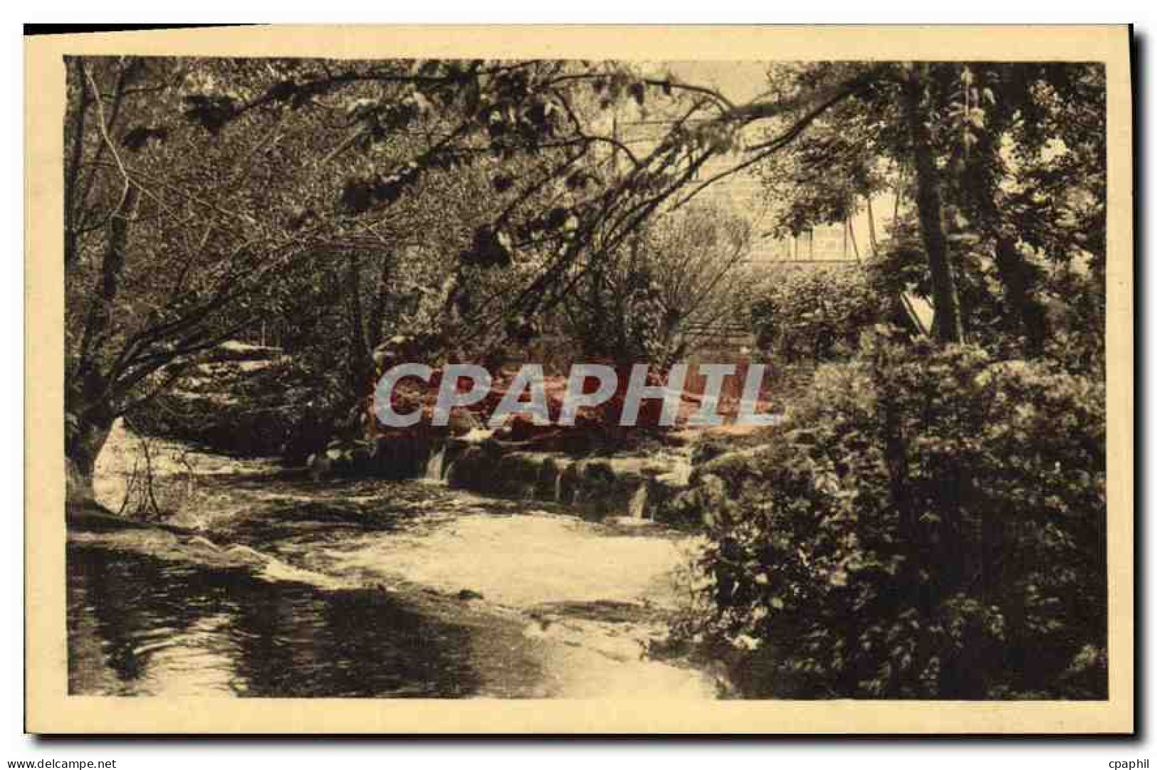 CPA Pont Aven l'Aven au Bois d'Amour