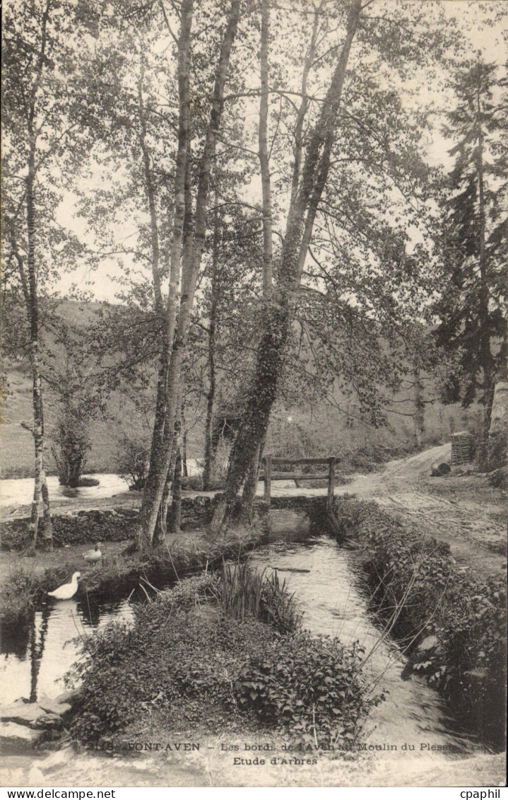 CPA Pont Aven Les Bord De Aven moulin du plessis