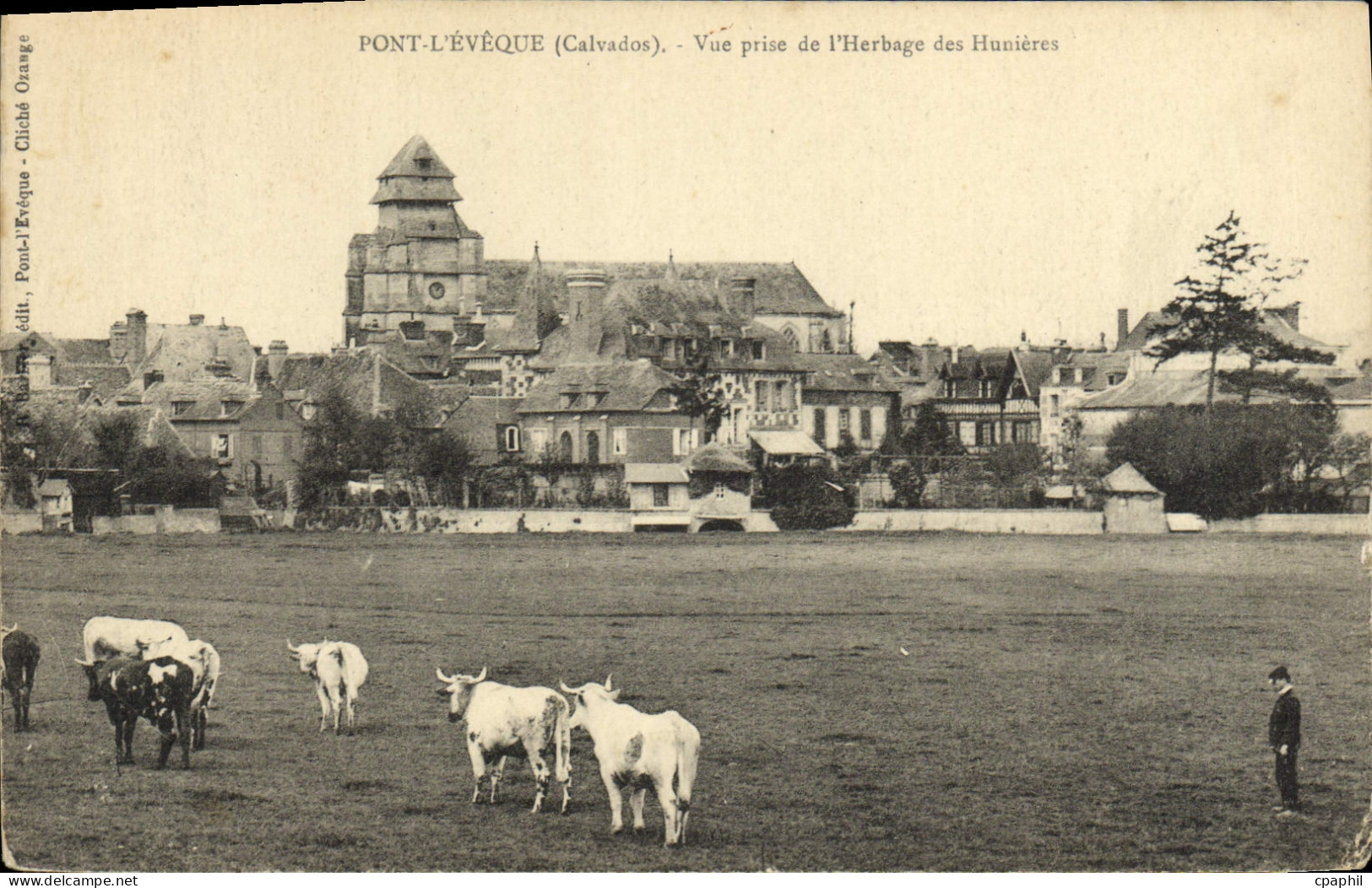 CPA Pont L'Eveque vue prise de l'herbage des Hunieres Vaches