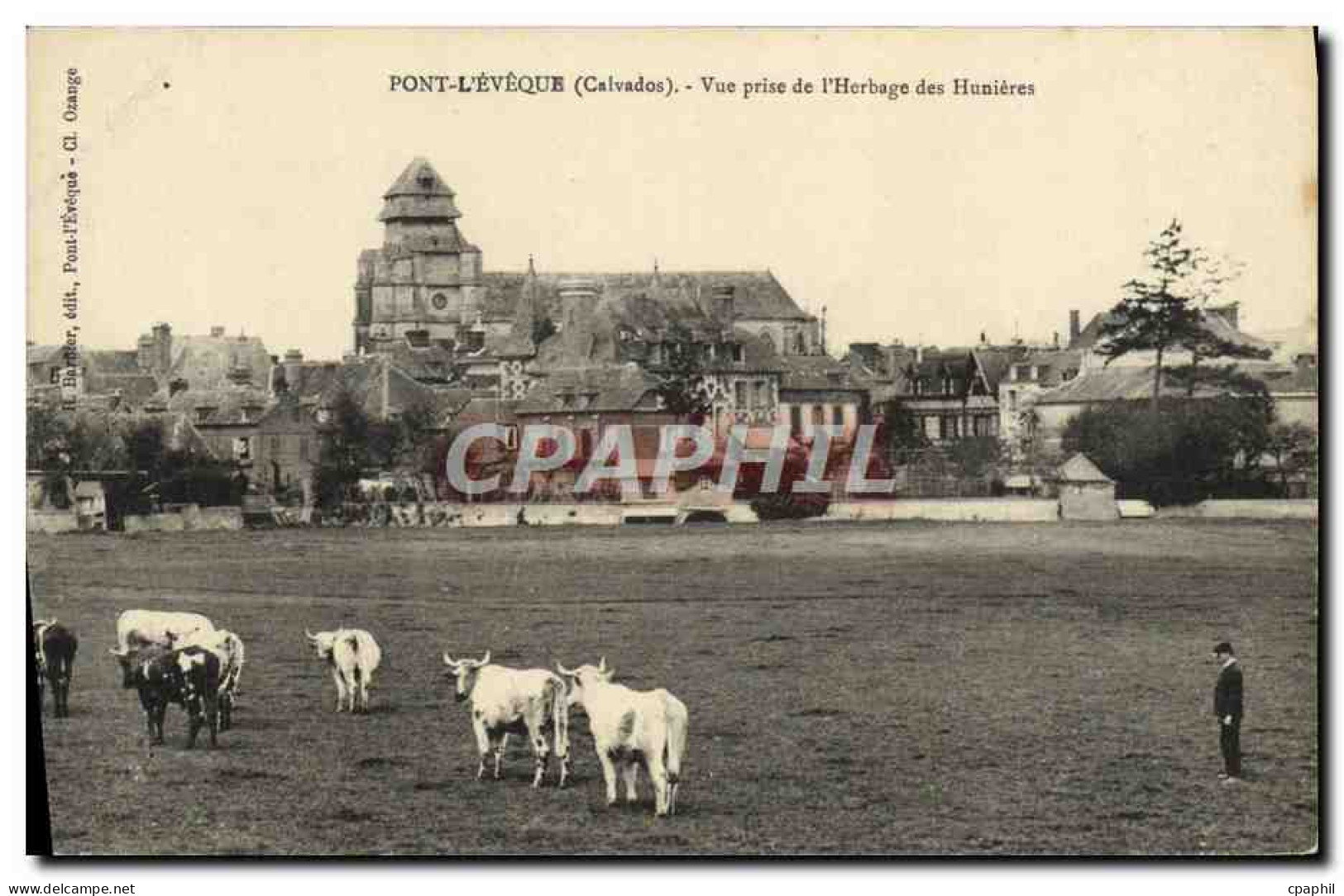 CPA Pont L'Eveque vue prise de l'herbage des hunieres Vaches