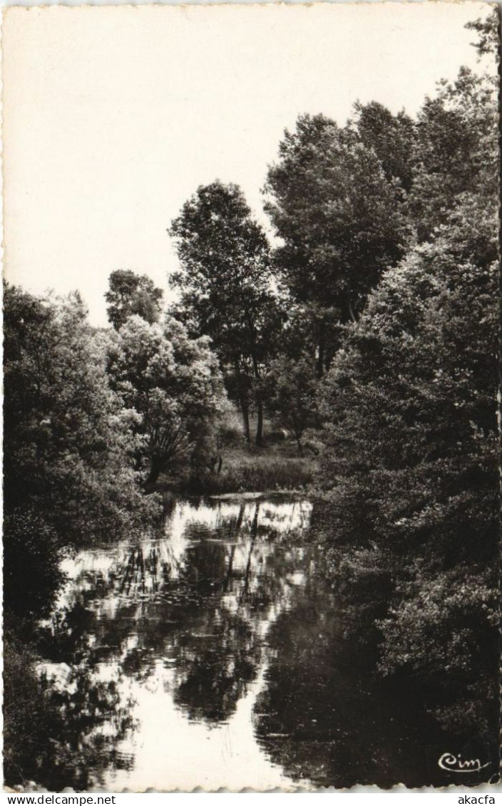 CPA PONTIGNY Le Serein (1198115)