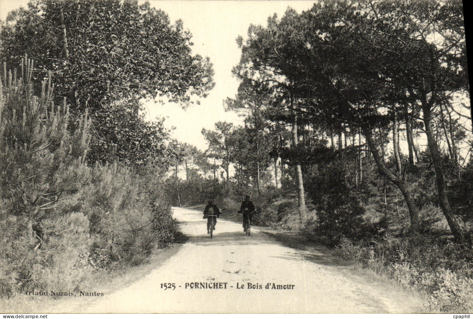 CPA Pornichet Le Bois d amour