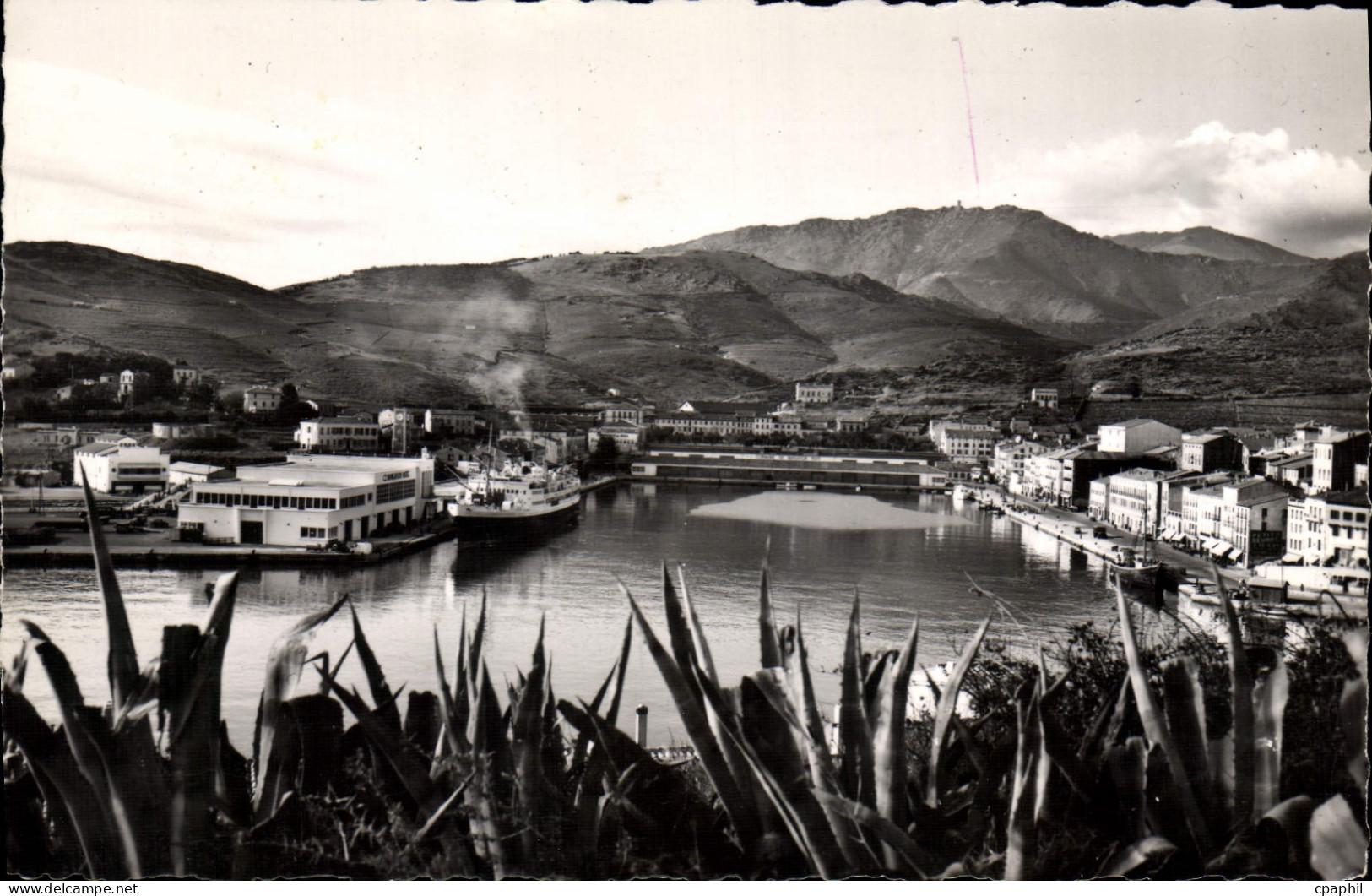 CPA Port VENDRES Vue Panoramique Sur Le Port gare maritime
