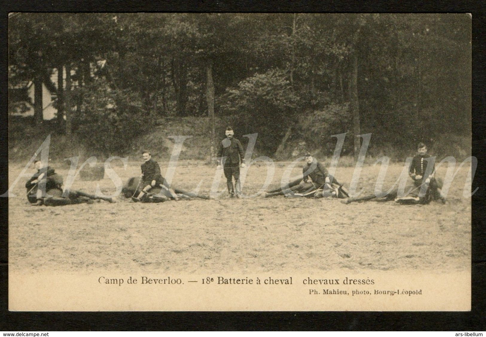 CPA / postcard / Bourg Léopold / Leopoldsburg / Camp de Beverloo / 18e Batterie à cheval / chevaux dresses / 1912