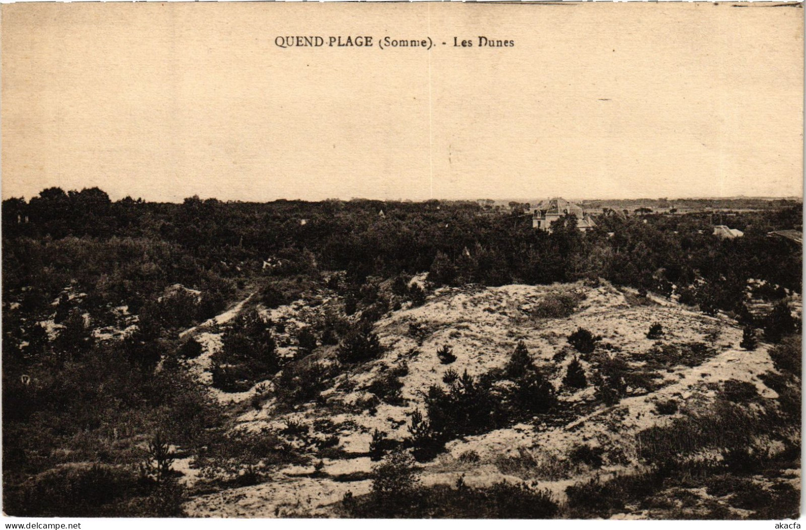 CPA Quend Plage les Pins les Dunes (1498218)