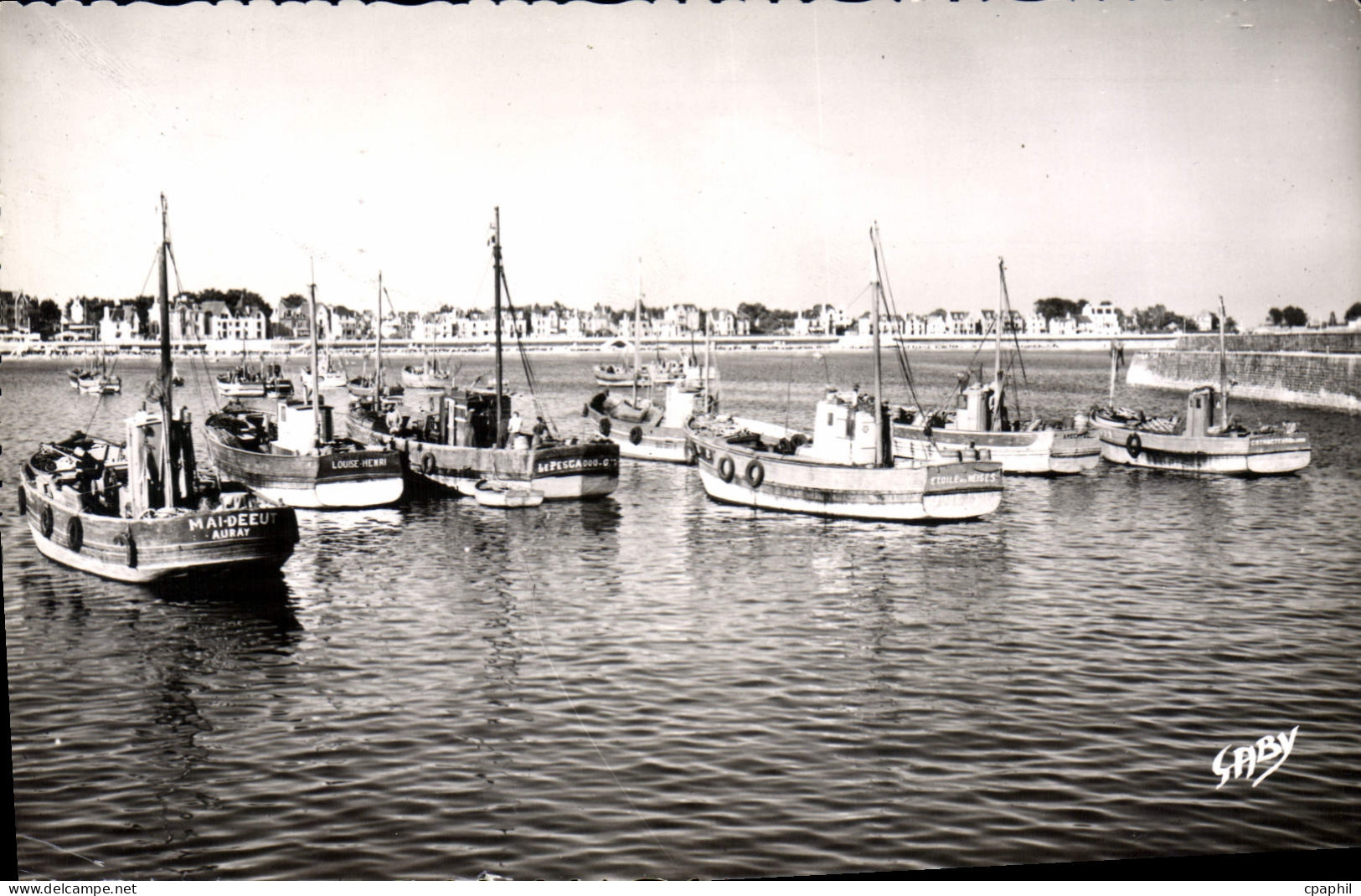 CPA Quiberon Vue D'Ensemble