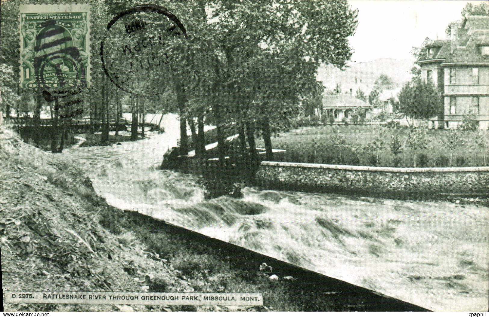 CPA Rattlesnake River On rampage Missoula Montana