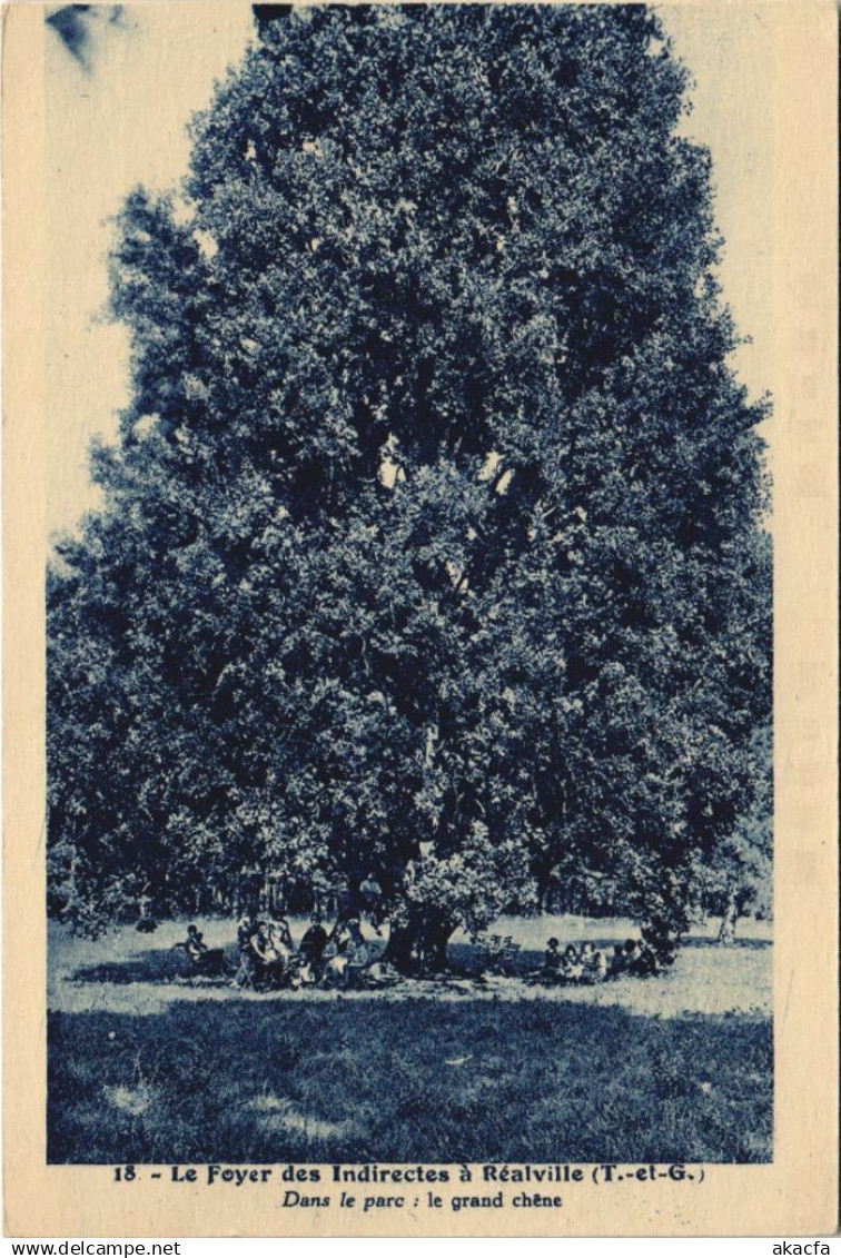 CPA Realville dans le parc ,le grand chene FRANCE (1094844)