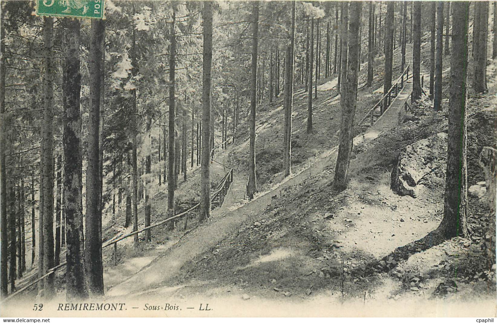 CPA REMIREMONT - Sous-bois
