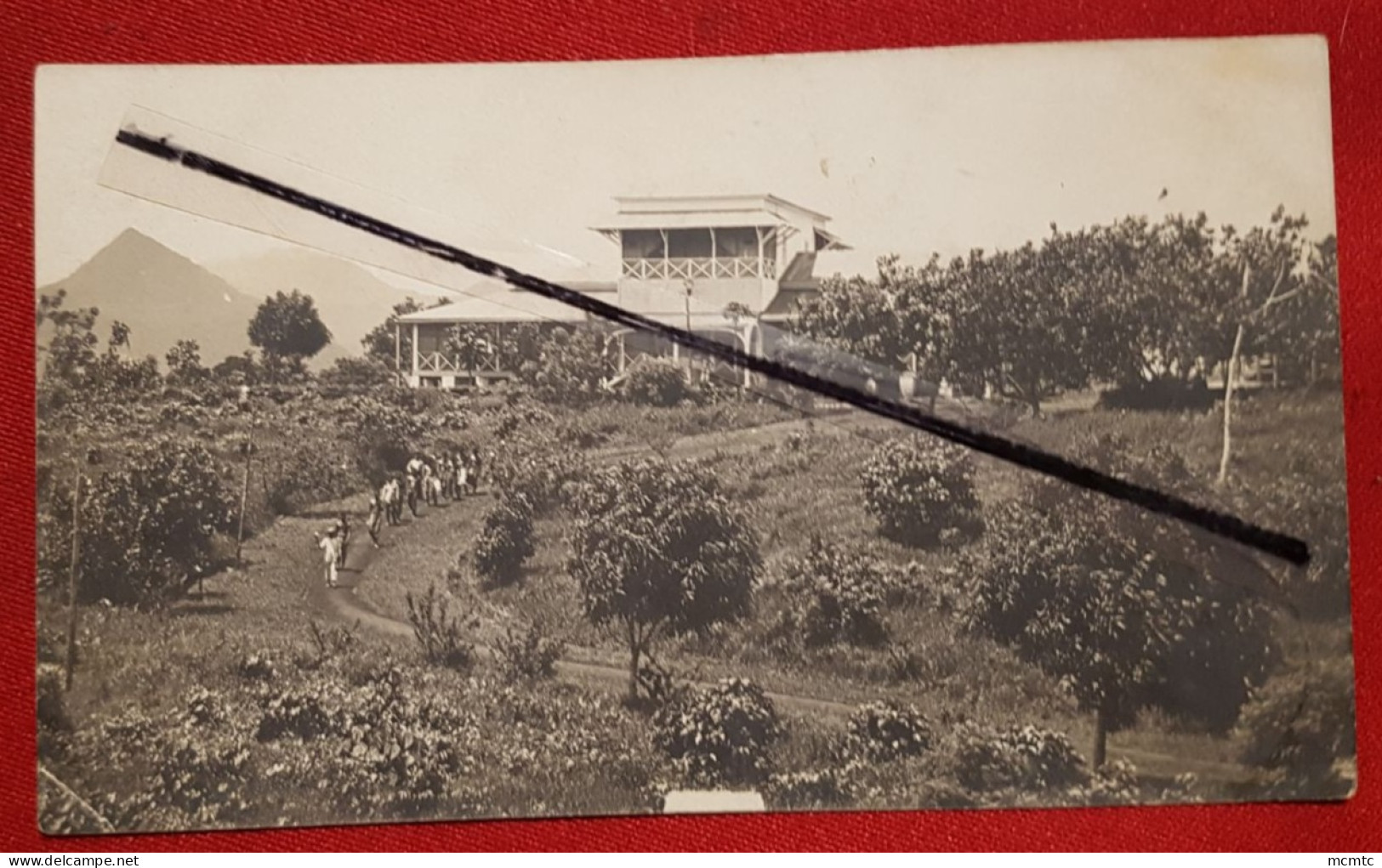 CPA rétrécie - Océanie - Ponape à confirmer