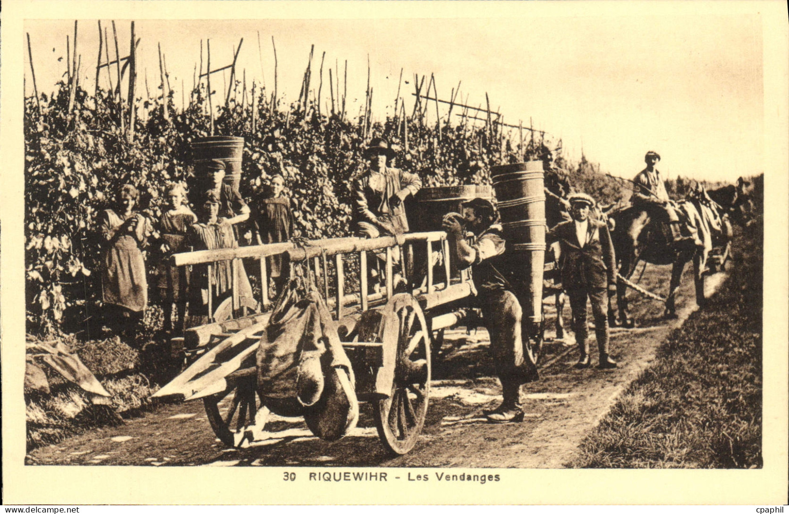 CPA Riquewihr Les Vendanges