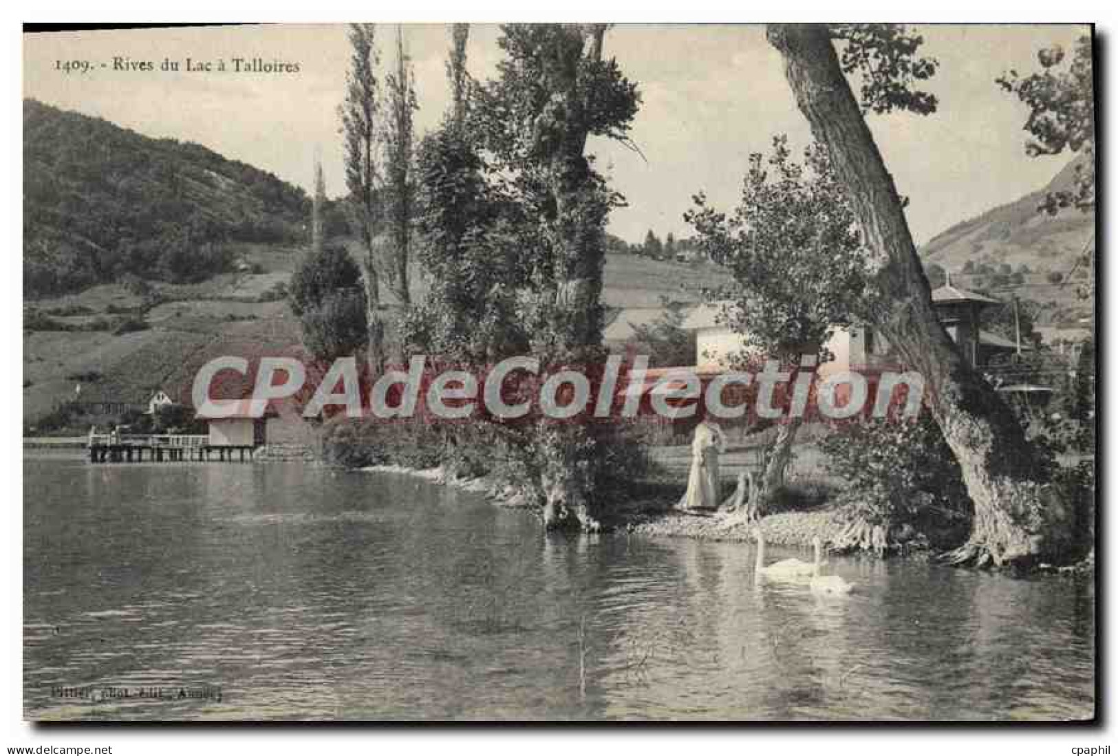 CPA Rives Du Lac A Talloires