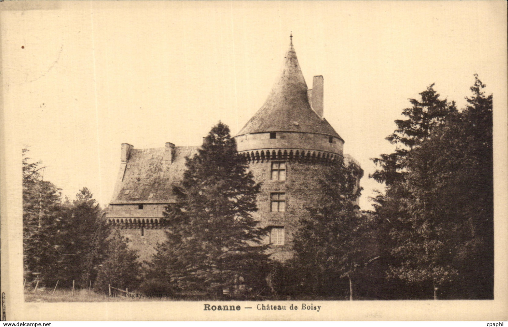 CPA Roanne Chateau de Boisy